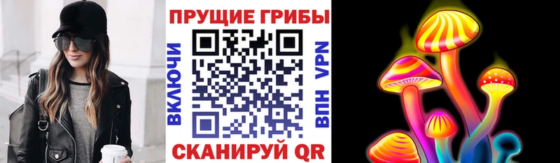 Псилоцибиновые грибы Psilocybe купить наркотик Ардатов